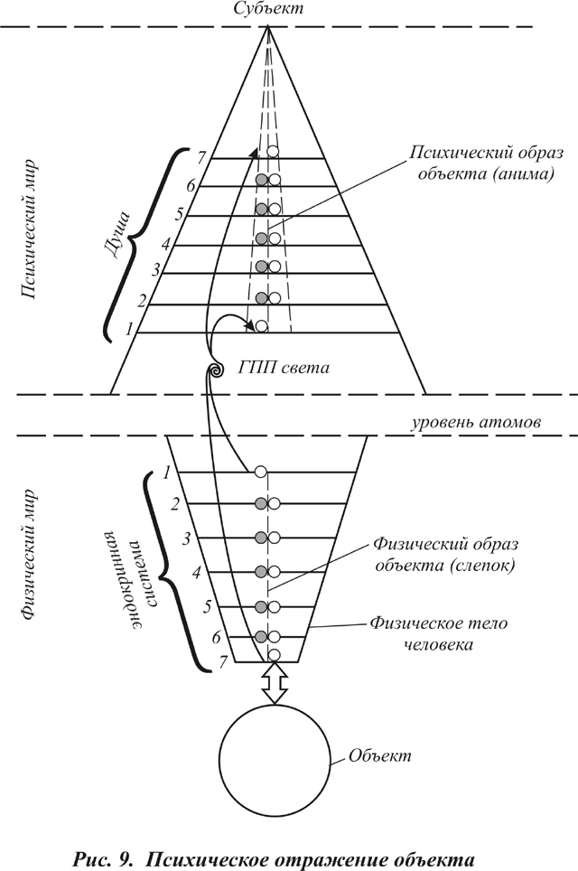 Уровни людей 3 и 4